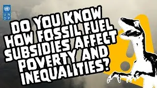 Dino Talks IV: Fossil Fuel subsidies and poverty