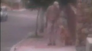 Adam Katz Shows Dog Training To Stop Pulling On The Leash