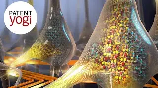 IBM Research breakthrough in neuromorphic computing | PatentYogi
