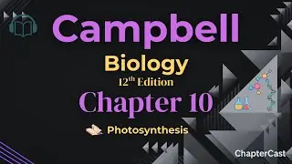 Photosynthesis Explained in 10 Minutes | Campbell Biology Chapter 10