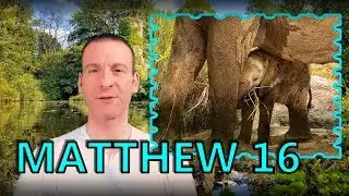 Matthew Chapter 16 Summary and What God Wants From Us