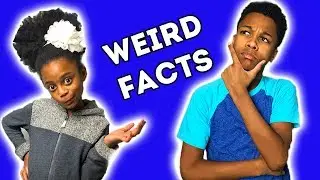20 RANDOM FACTS About Loose Seeds! Q&A