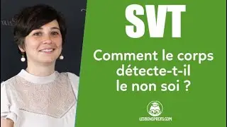 Comment notre corps d&eacute;tecte-t-il le non soi ? - SVT - Coll&egrave;ge - Les Bons Profs