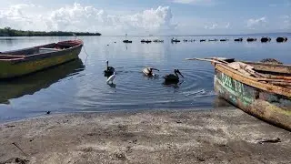 Driving in Jamaica - Kingston to Old Harbour Bay Fishing Village