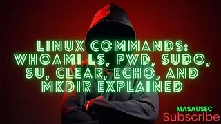 Linux Commands: whoami ls, pwd, sudo, su, clear, echo, and mkdir Explained