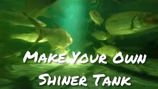 How to make your own holding tank for wild shiners.