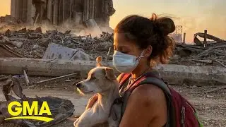 Pet parents reunite with their fur babies after massive explosion separated them