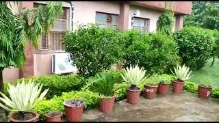 rainy season at nsti indore 2022