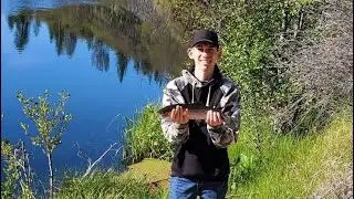 Burney/Hat Creek Fishing Trip
