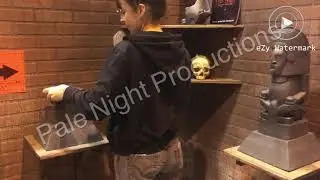 Pale Night Productions  &ldquo;The Idol&rdquo;