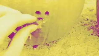 Tegn subscrider speshal (pieart fhive )