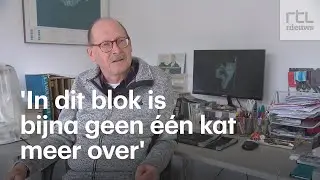 20 dode katten in Lelystad: buurtbewoners vrezen voor dierenbeul