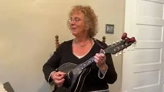 String Culture Trio - Wild Mountain Thyme