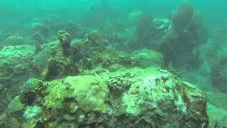 Freediving Bequia - Part 2