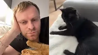 Коля в Шоке За Что Берут Деньги Ничего Не Делают Страшно Что Будет Дожились Самвел Адамян