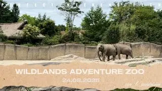 Wildlands Adventure Zoo | мини-влог 🐘