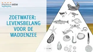 Zoetwater voor de Waddenzee | Waterwebinars 2025 | 19-12-2025