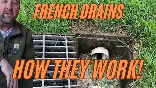 The French Drain Debate: Are They Worth It?