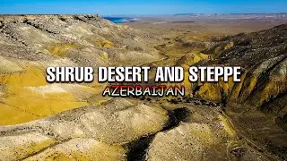4K Drone Footage: Exploring the Shrub Desert and Steppe in Azerbaijan | The Nature Project