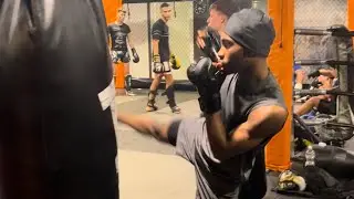 Engage MMA HYBRID GLOVES REVIEW!