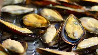 Dones de la naturaleza (2): Los mejillones de Shengsi