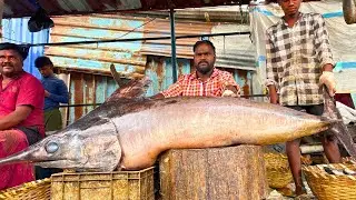 KASIMEDU PANNI KOLA FISH 🐟 CUTTING VIDEO \ CUTTING FOCUS