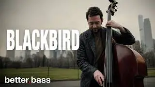 Cole Davis Solo Bass: Blackbird