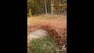 REDMAX 9000 blowing large amounts of leaves