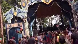 Adam Deitch DJ Set @ Electric Forest 6/15 (guy falls down)