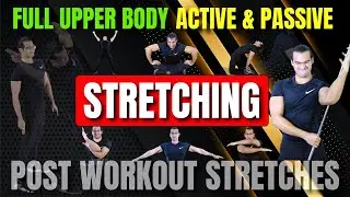 Upper Body Stretching || Post Workout Active & Passive Stretches