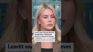Leavitt says Trump believes recognizing a Palestinian state is a 'reward to Hamas'