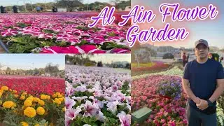 Beautiful, Al Ain Flower Garden