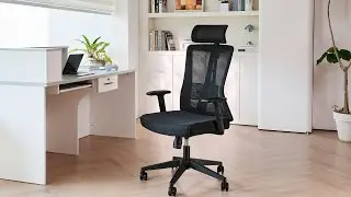 Кресло компьютерное эргономичное офисное EVOLUTION ErgoLine 3