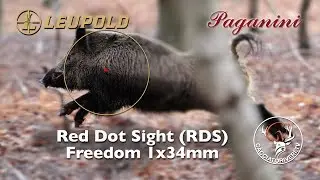 Leupold Freedom RDS 1x34mm