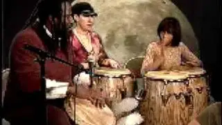 jamiology