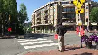 Crosswalk Flag Pilot Program
