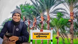 রস খেতে হারিশনগর 🙀 Roster Surjo | Vlog Video