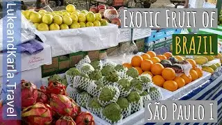 Exotic Fruit of Brazil