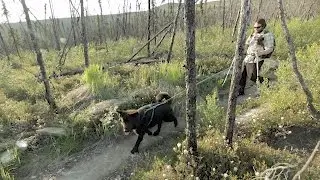 Nome Creek Valley: Fairbanks' Million-Acre Backyard