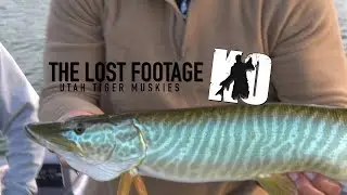 Musky Fishing for TIGERS in Utah - the LOST Footage