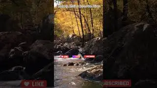 🎬 Melody Affair &ndash; Cross the River | reggae song of healing & hope | official video #reggae