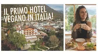 IL PRIMO HOTEL VEGANO IN ITALIA! - Luxury Vegan Hotel nell'Alto Adige | Elefanteveg