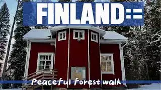 4K Peaceful Forest Walk in Finland 🇫🇮❄️ | Calm Piano Music | Relaxing & Study | Meditation