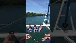 Catamaran on the net