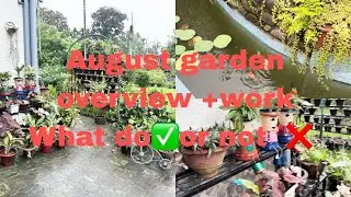 August garden overview +work/What to✅ or ❌  #gardening