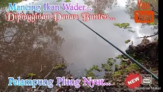 Mancing Ikan Wader... Dipinggiran Danau Bunter ll Pelampung Plung Nyut...