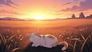 Best Antistress Music for Cats 😻 Healing and Tranquil your Cat, Deep Sleep and Relax Music