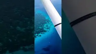 Imagine going on a Dive Holiday and Seeing THIS
