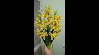 กล้วยไม้ แกรมมาโต how to make stocking,nylon flower(grammatophyllum orchid)