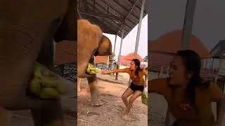 🎉🎉 #TIMELAPSE, START to FINISH Alone BUILDLOG Cabin (Wooden House) #ishantkarnaliya CP23
